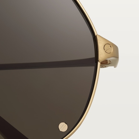 SANTOS DE CARTIER SUNGLASSES - Picture 8 of 16